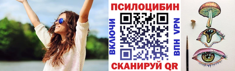 Галлюциногенные грибы прущие грибы  закладка  Избербаш 